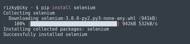 Python - Automation Web Selenium 