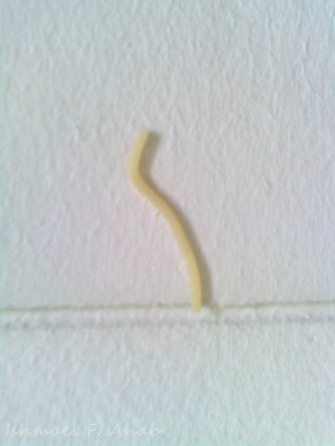 Al dente pasta on the wall