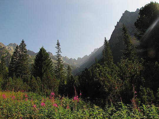 Dolina Złomisk (słow. Zlomisková dolina). Dolina Złomisk (słow. Zlomisková dolina).