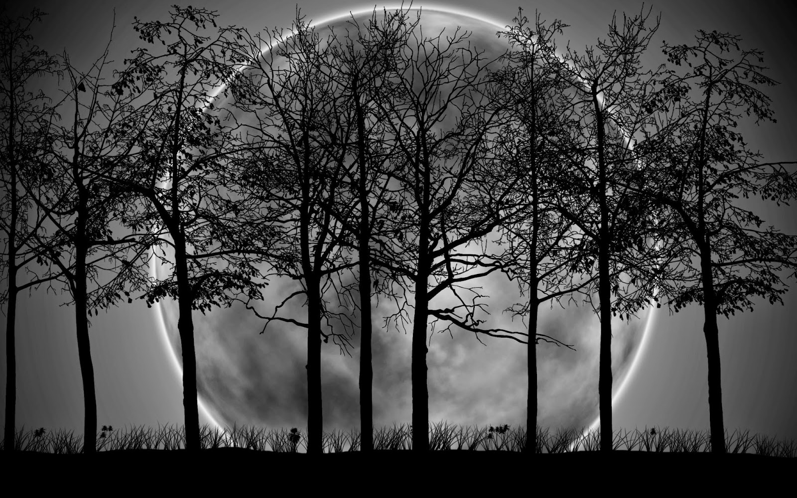 Good night