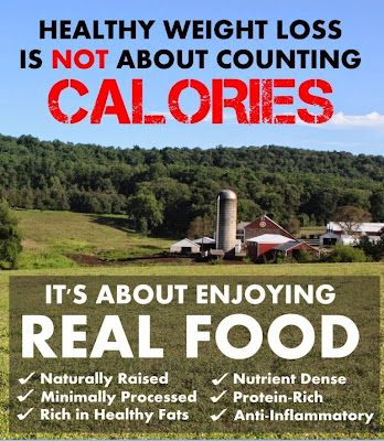 Do not Stress About Food, We Give The Best Solution Do not Stress About Food, We Give The Best Solution