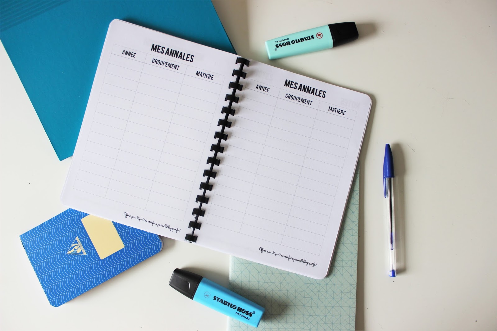 Le journal de préparation au CRPE 2018 [Printable] Mais tu fais quoi