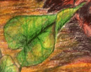 detail daun Gambar detail daun sebagai Cara Sketsa Flora dan Fauna Dengan Mudah