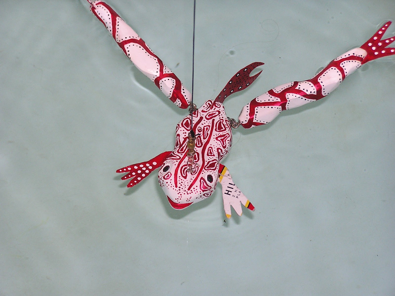 Fish Decoy Chronicles Can Frog Decoys Swim Circles?