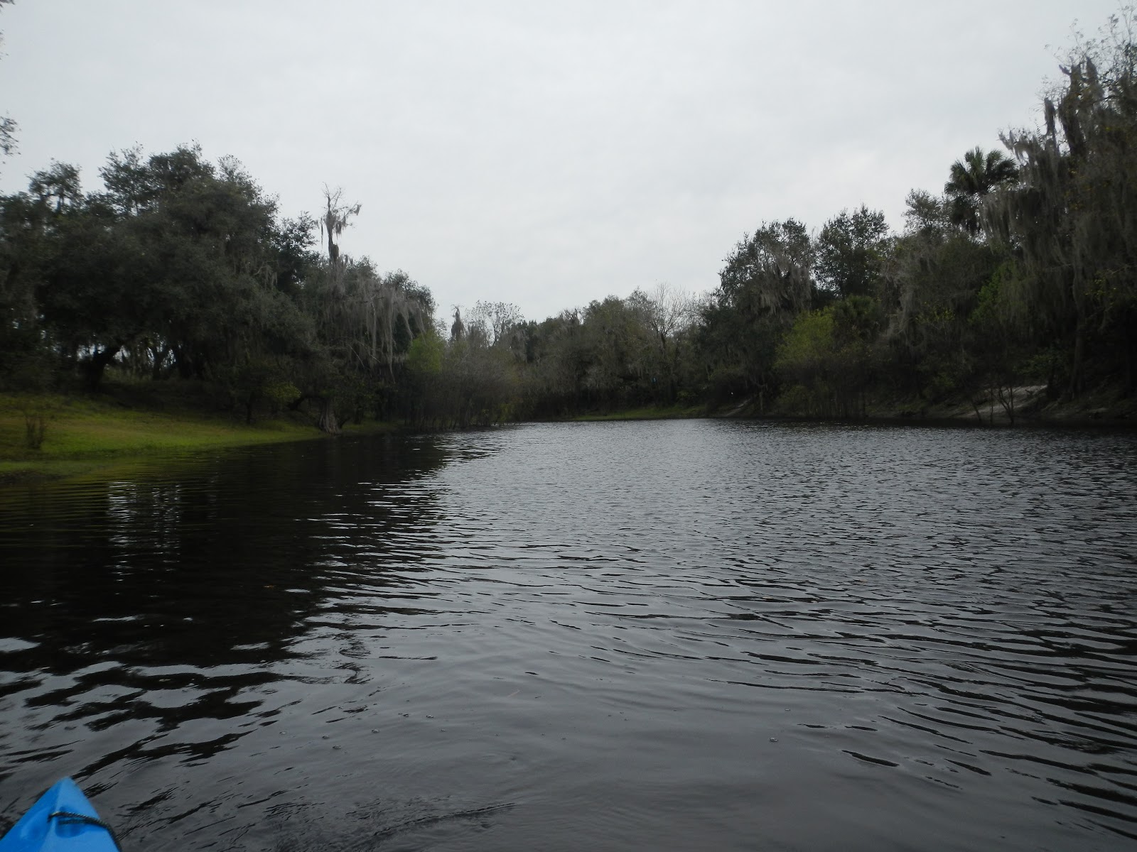 Kayaking the Peace River, Florida