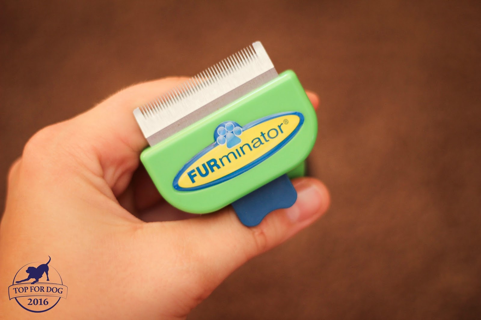 Świat według terrora FURminator, czyli szczotka idealna?