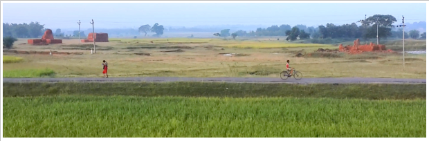 A boy cycling on road near farmland.