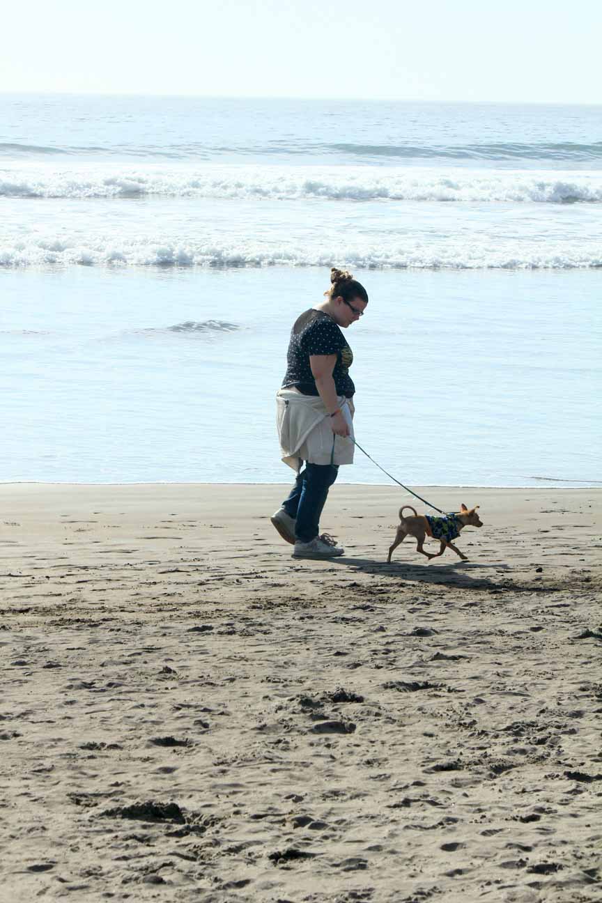 Bluebear's Photo Gallery A trip to Stinson Beach and Mount Tamalpias