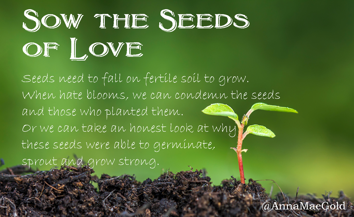 United States of Covfefe Fertile Soil