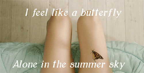 Butterfly, Gif on Tumblr, Summer Quotes, Alone,