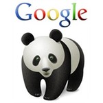  Google Panda 