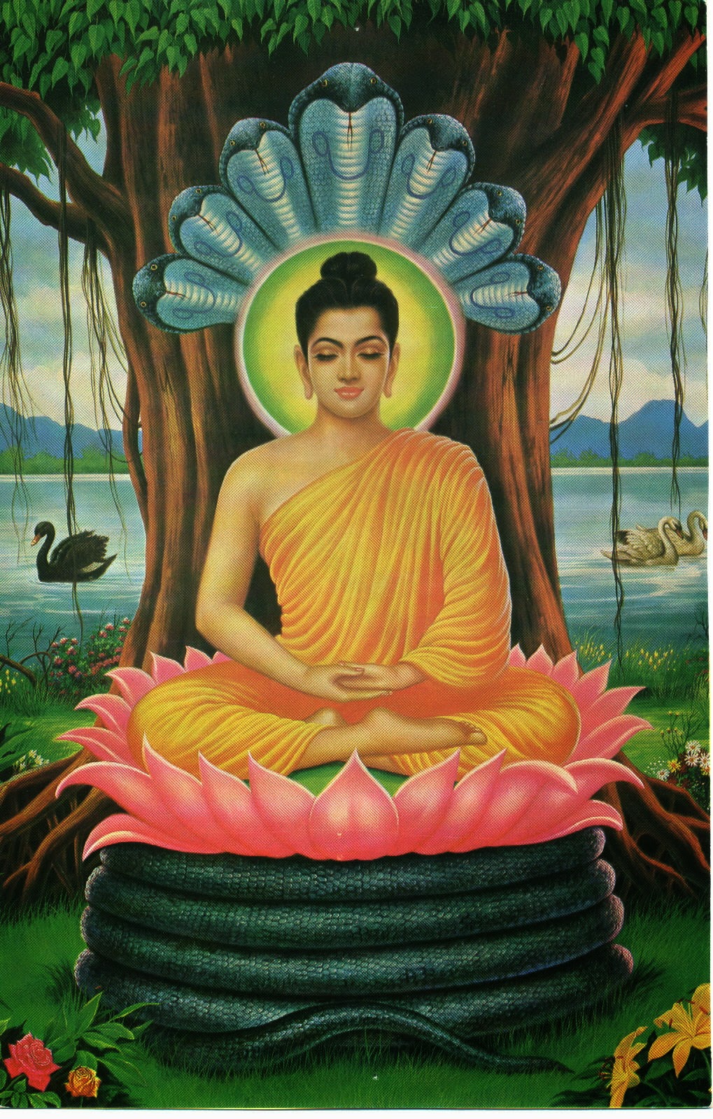 Sun Gods Zodiac Biblical Allegory Meditation Emerald Tablets Buddha