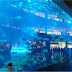 Shopping: tra Dubai Mall e Mall of Emirates