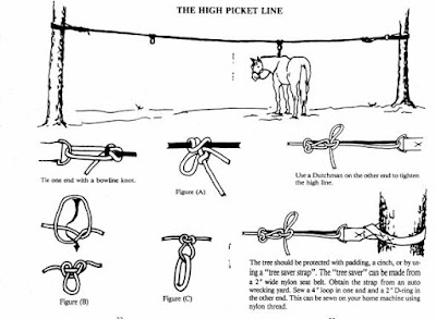 How to Go Horse Camping - Where to Keep Your Horse - High Line