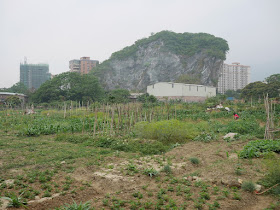 a field and crag in Yunfu