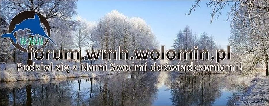 forum.wmh.wolomin.pl