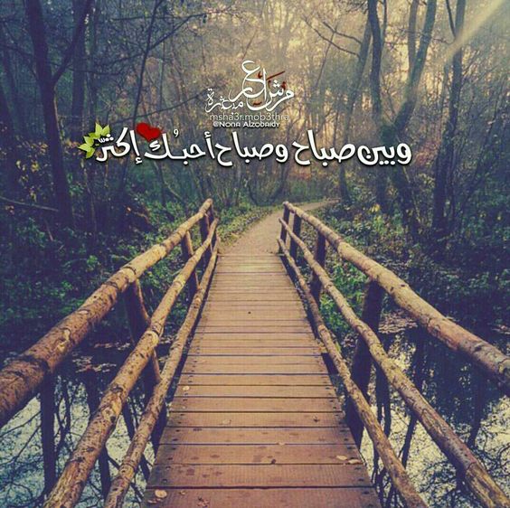 اجمل الصور الرومانسية اجمل الصور الرومانسية