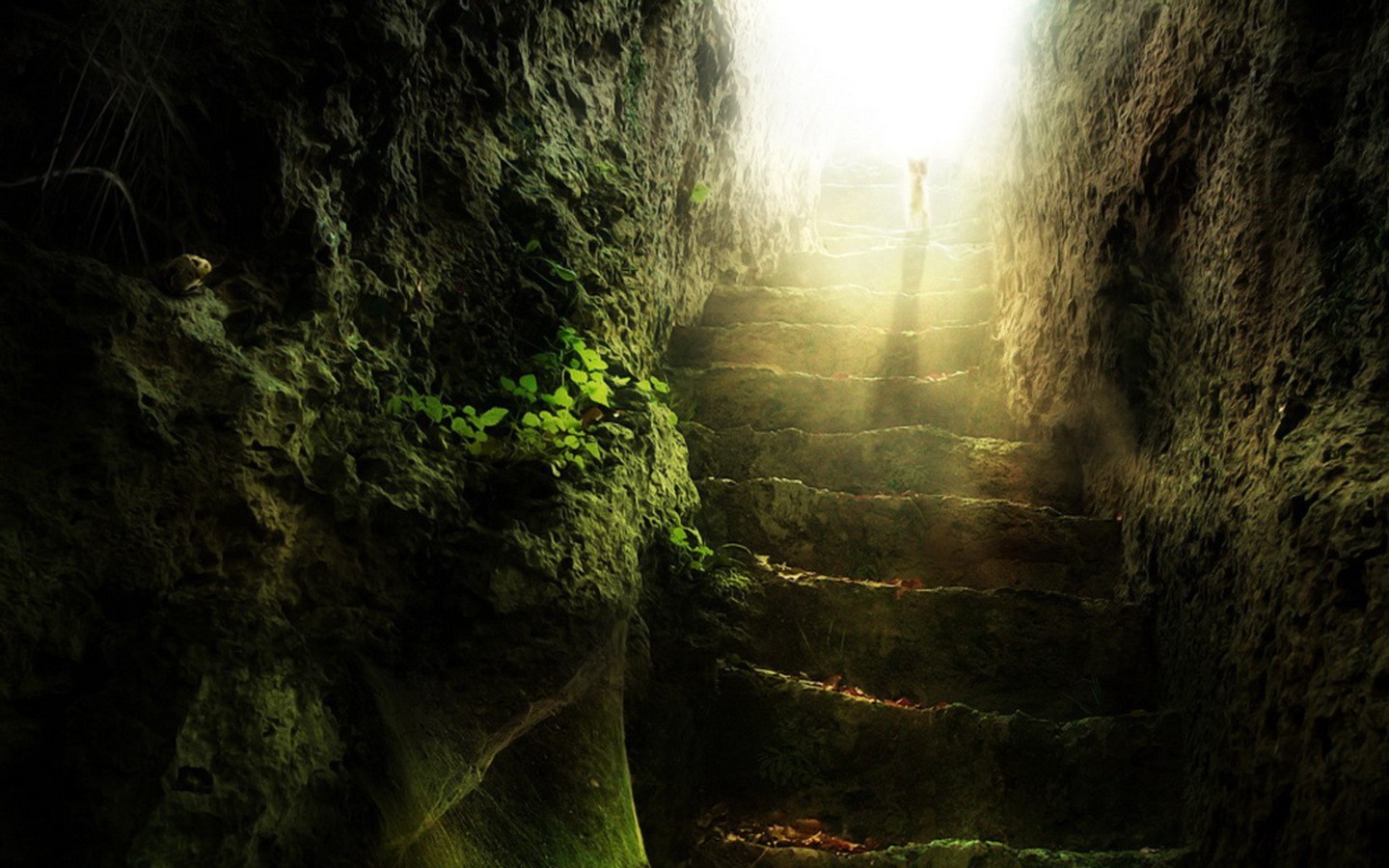 Desktop Nature wallpaper: awesome nature wallpapers, beautiful nature