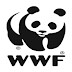 Administrative Assistant at World Wide Fund For Nature (WWF) - Tanzania