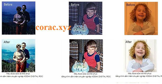 DIGITAL ROC Professional full