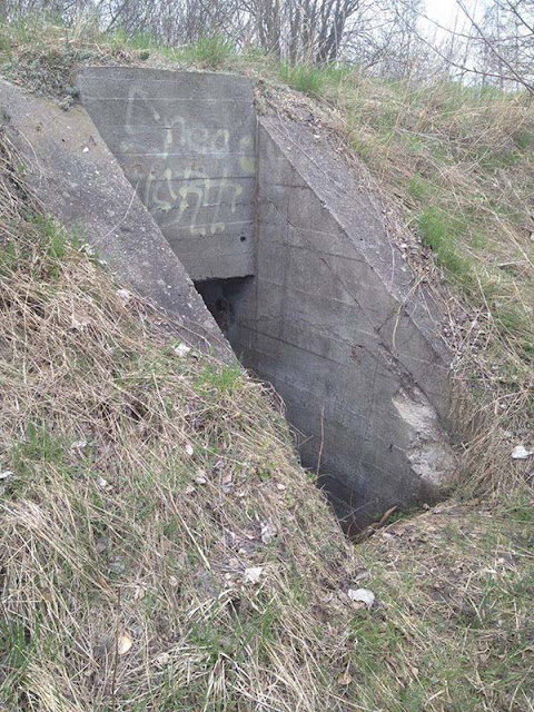 These Guys Discovered Pipes Sticking Out In The Forest. Out Of Curiosity, They Checked What's Under The Pipes And Were Shocked To See THIS! These Guys Discovered Pipes Sticking Out In The Forest. Out Of Curiosity, They Checked What's Under The Pipes And Were Shocked To See THIS!