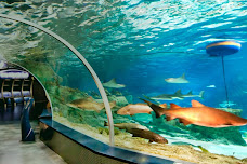 أكواريوم اسطنبول وجهة سياحية عائلية بامتياز