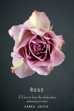 Happy Rose Day With Quotes 2016 Happy Rose Day With Quotes 2016