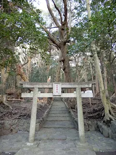 伊豆大島の旅 大宮神社