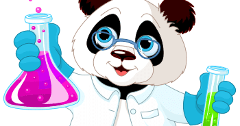 panda