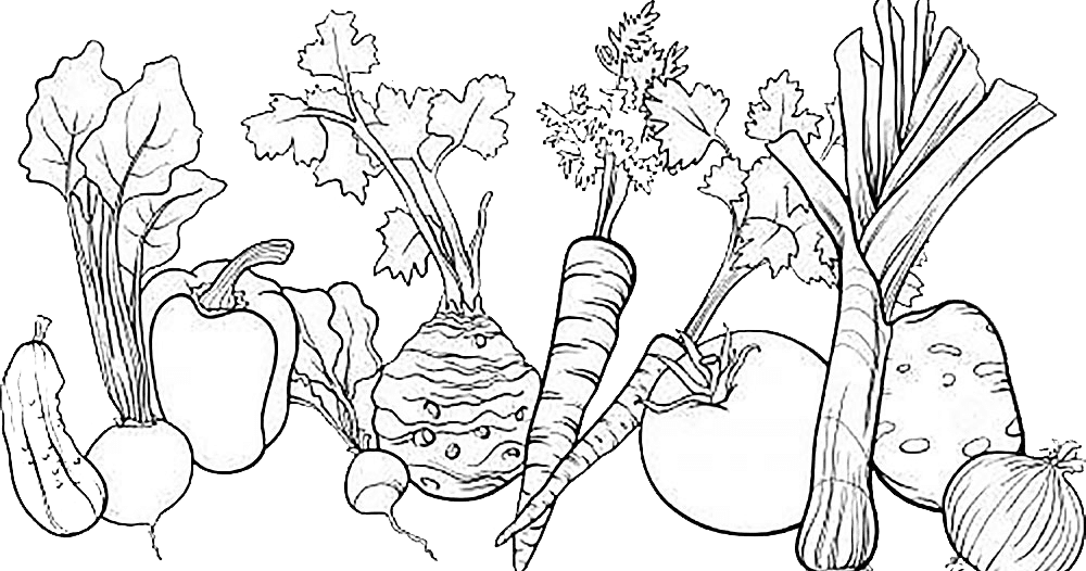 Gambar Mewarnai Kebun Buah