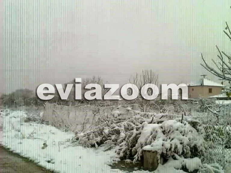 Ιστιαία: Ο χιονιάς ήρθε για να μείνει! (ΦΩΤΟ)