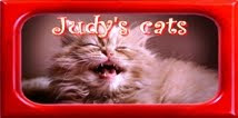 Judy's-cats