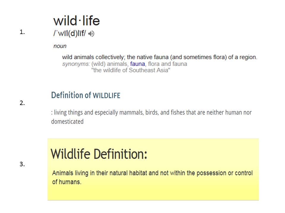 Wild  meaning of Wild 