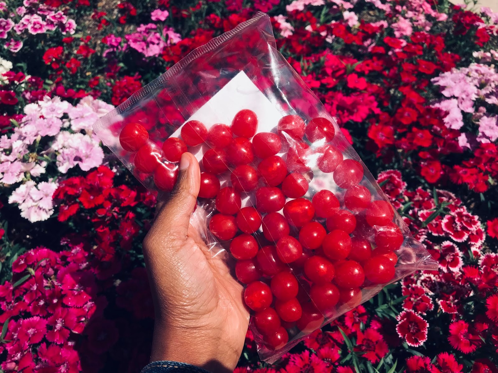 Happy Diaries: Weekend Sweets and Treats + Winter Memories