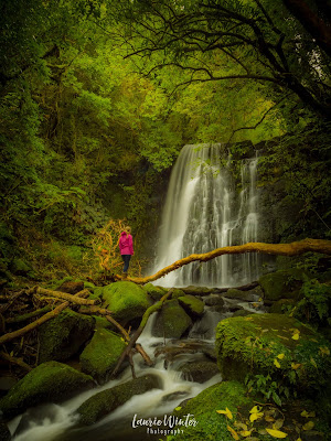 Matai Falls, Catlins Catlins, Matai Falls, New Zealand, NZ, Southland, Waterfall, Horseshoe Falls