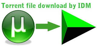 How  to download Torrents file with IDM