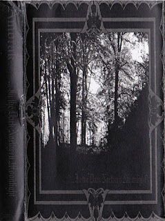 amorak in the dark moonlight