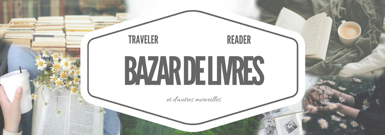 Bazar De Livres D I M I LY Estelle Maskame Bazar De Livres D I M I LY Estelle Maskame