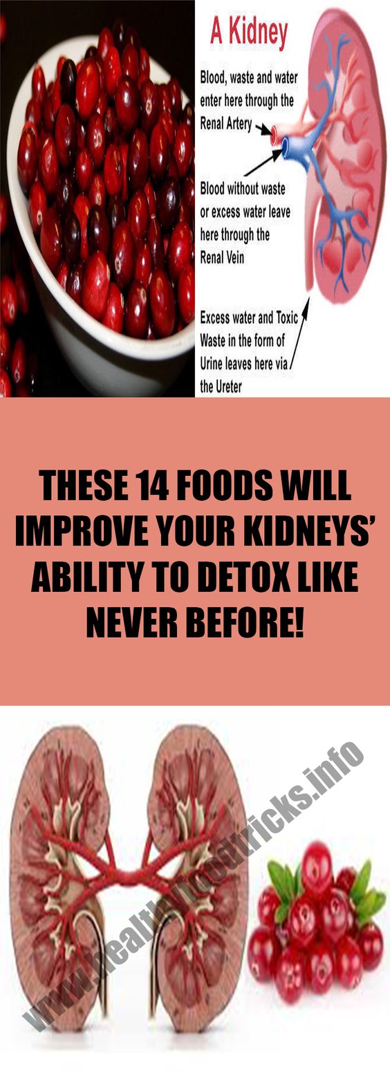 THESE 14 FOODS WILL IMPROVE YOUR KIDNEYS’ ABILITY TO DETOX LIKE NEVER