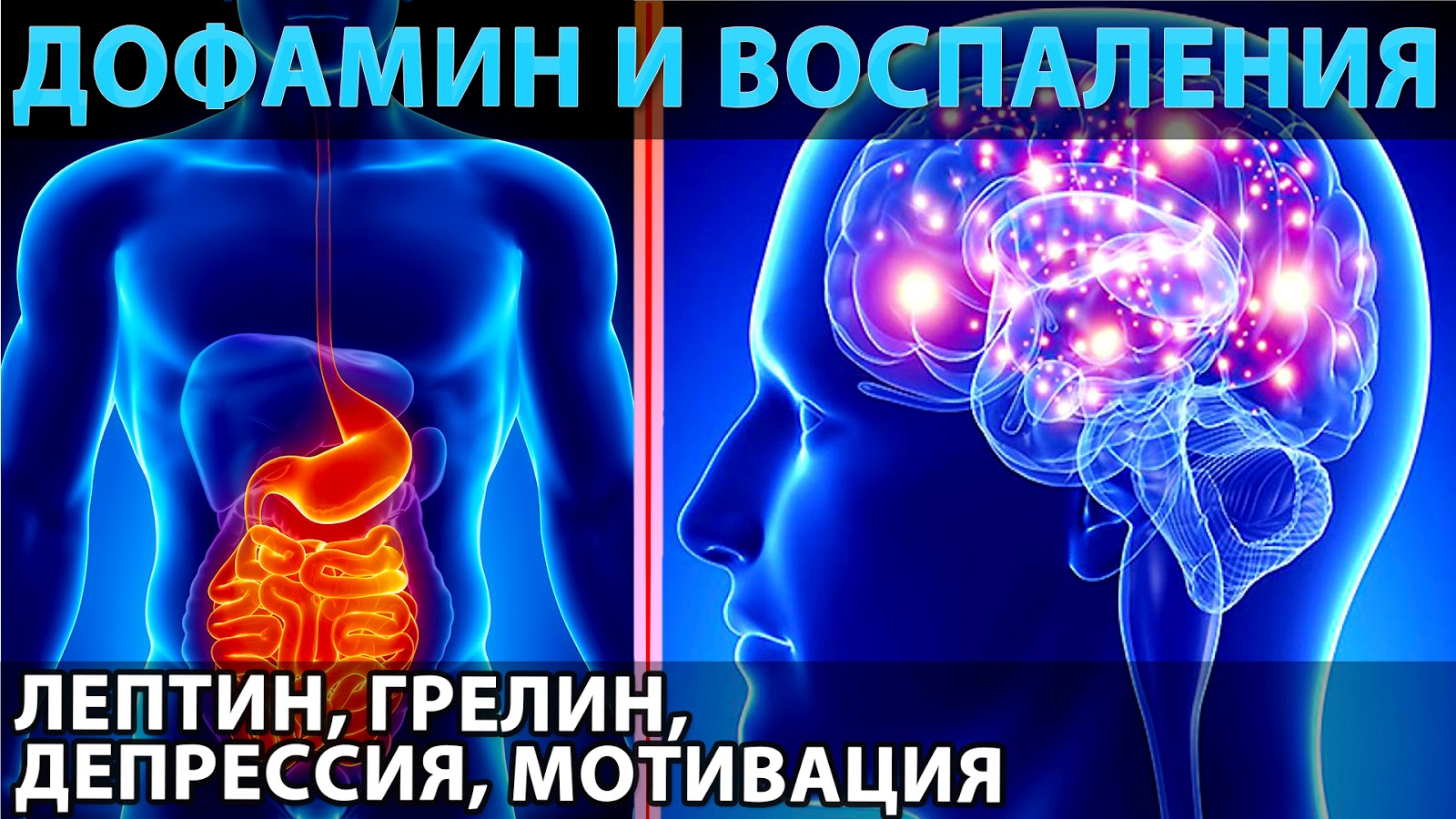 Дофамин и воспаления, мотивация и депрессия