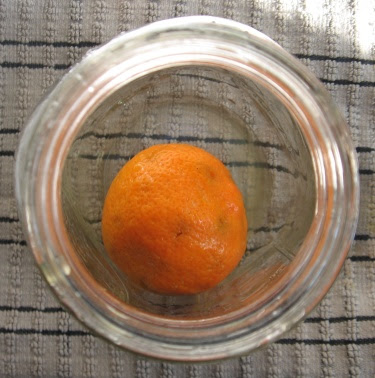 orange stuffed with coffee beans