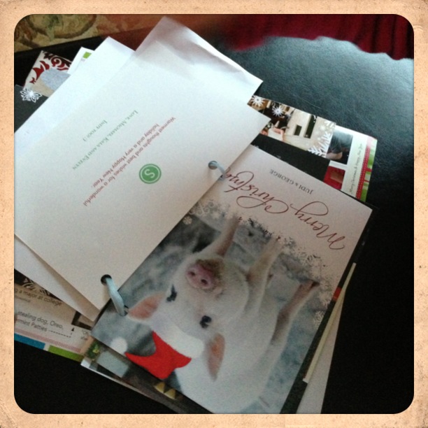 Rhubarb & Linen Leftover Christmas cards