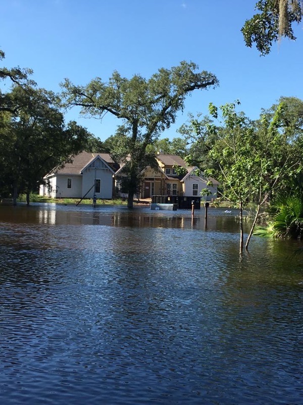 On the Road again... Back in St. Francisville