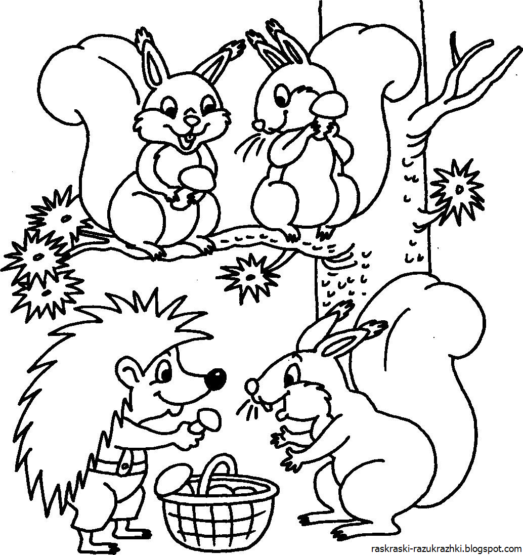 Раскраски Животные Для Детей 5 7 Лет