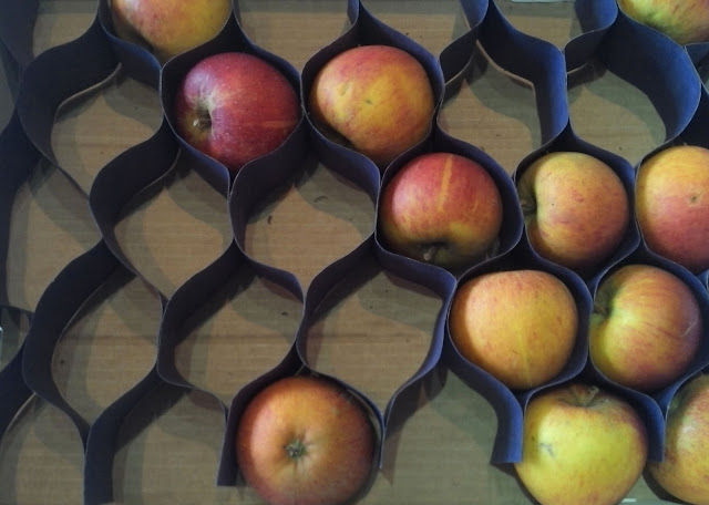 box of coxes apples
