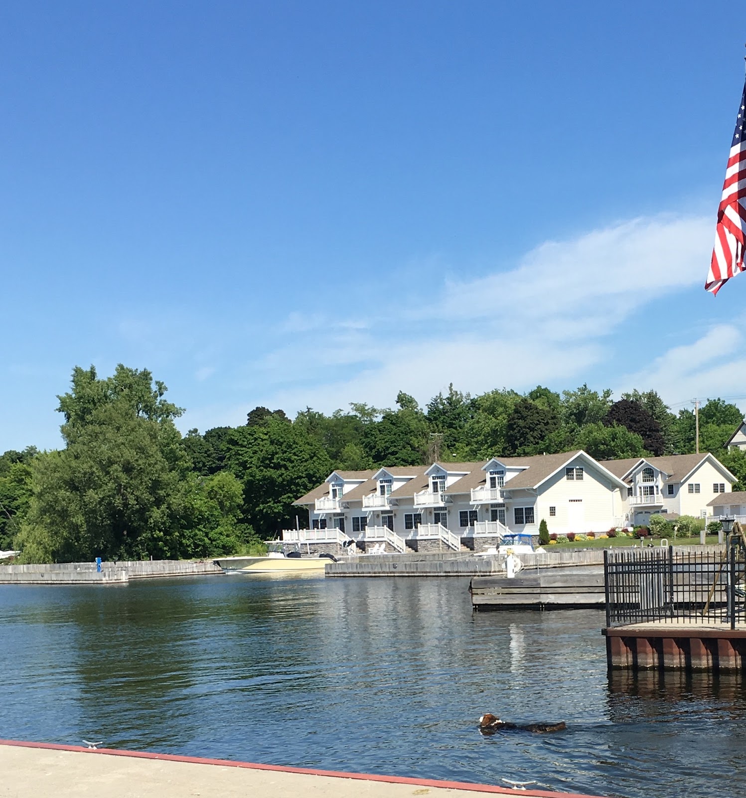 bichonpawz Seeing Beautiful The Sackets Harbor Edition