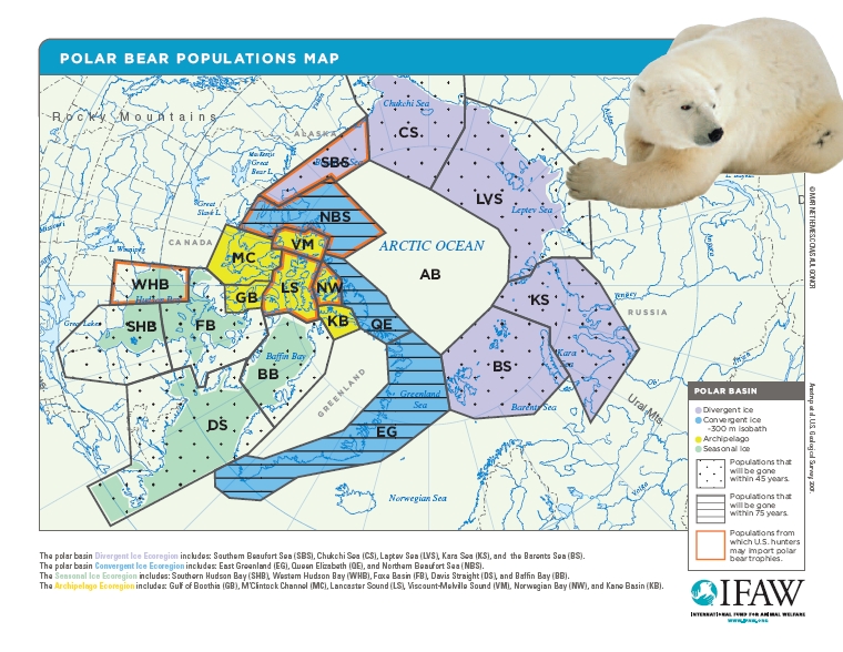 Polar bears and the climate location