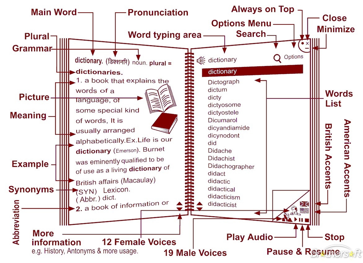 таблица word meaning для словаря. Types of general dictionaries. How to use dictionaries. Types of dictionaries. термины фото.
