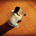 4 Janji Allah dalam Al-Quran untuk umat Islam