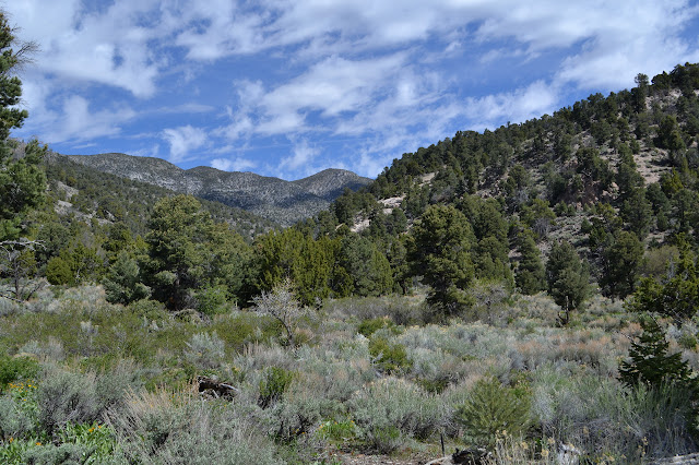 wide valley